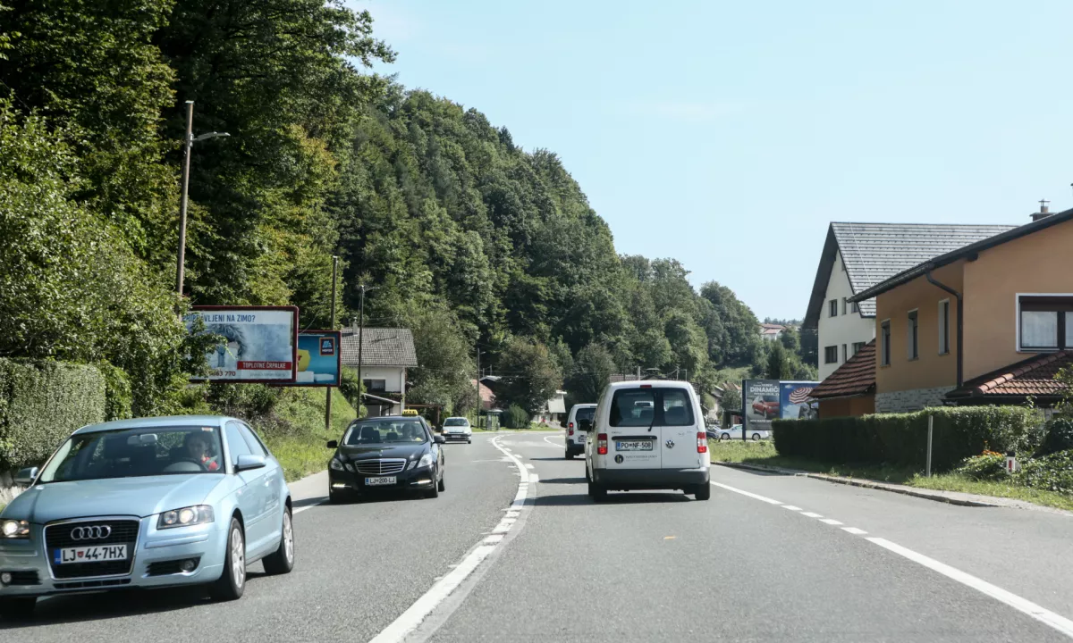 Golovec bo ostal brez 24 dreves, zaradi nevarnosti bo Dolenjska cesta delno zaprta