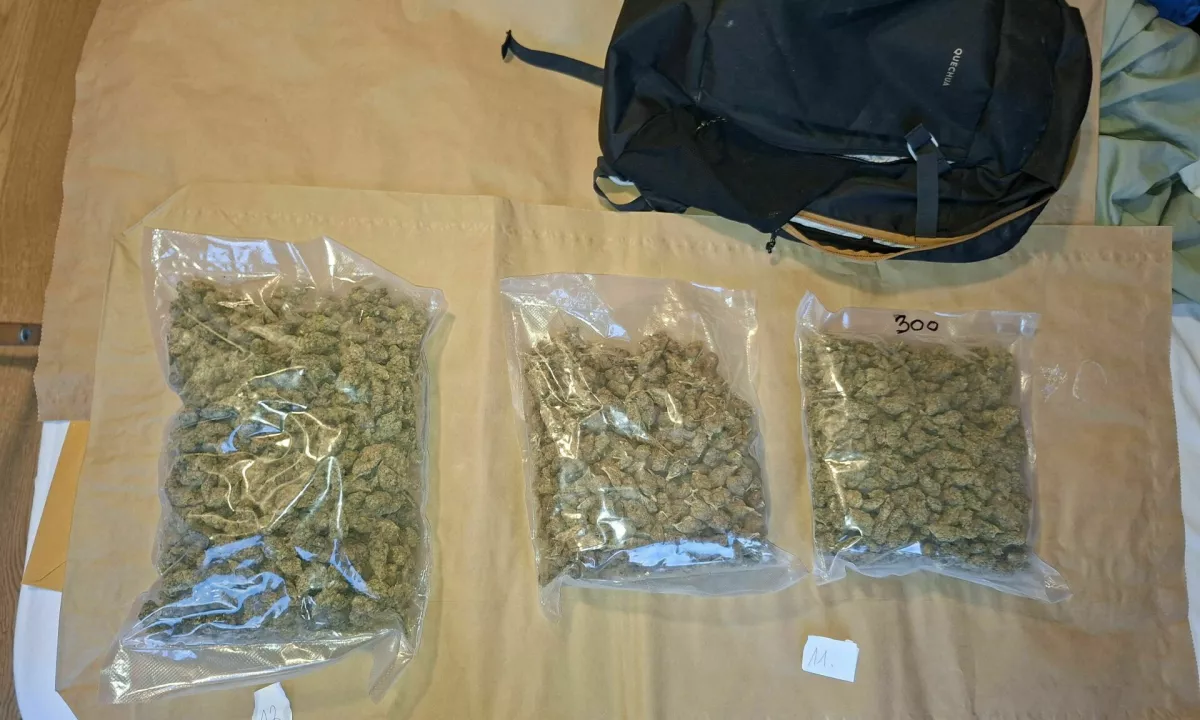 V tovornjaku med pohištvom našli 174 zabojev konoplje