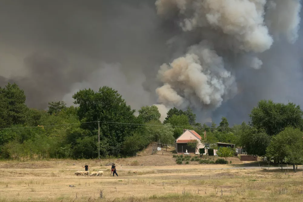 smoke emerges from a forest during a wildfire in Deliblatska Pescara (Deliblato Sands), near the village of Sumarak, 70 kilometers north-west of Belgrade, Serbia, Friday, Aug. 7, 2026. (AP Photo/Darko Vojinovic)