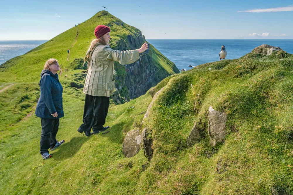 Two tourists making photos with their smartphone of puffins birds at Mykines island at Faroe islands archipelago and Atlantic ocean, summer / Foto: Neurobite