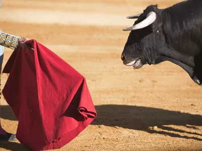 Bullfighter with the Cape in the Bullfight, Spain / Foto: Digicomphoto Getty Images/istockphoto
