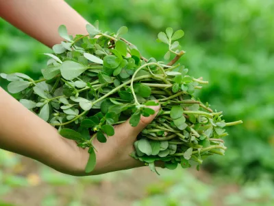 Slika je simbolična. / Foto: Istock