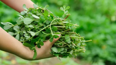Slika je simbolična. / Foto: Istock
