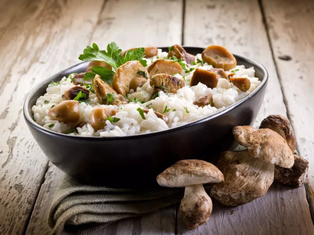 risotto with cep edible mushrooms - Photographed with Mamiya 645DF 33 MPx Digital Back Leaf Aptus II and Schneider Kreuznach lens / Foto: Marcomayer