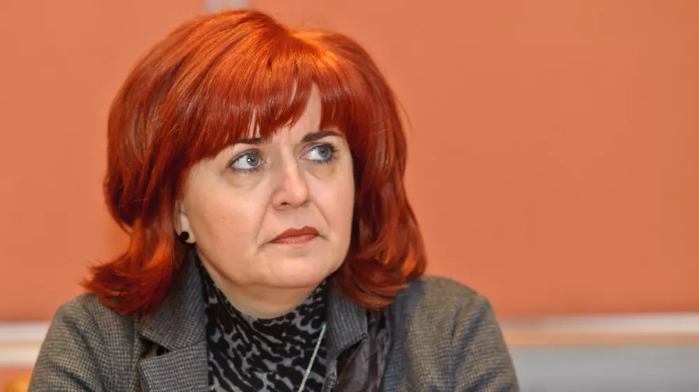 - Mira Močnik, direktorica, Vital Mestinje d.o.o.O posledicah novih davkov in troarin za slovensko gospodarstvo, so na tiskovni konferenci "Nove milijonske obremenitve" spregovorili gospodarstveniki, Gospodarska zbornica Slovenije, GZS//FOTO: Toma Zajelnik