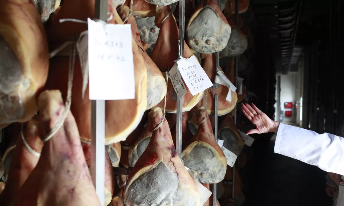 Skoraj 10 ton pršuta bo romalo v uničenje, lastnik ni imel niti enega dokumenta