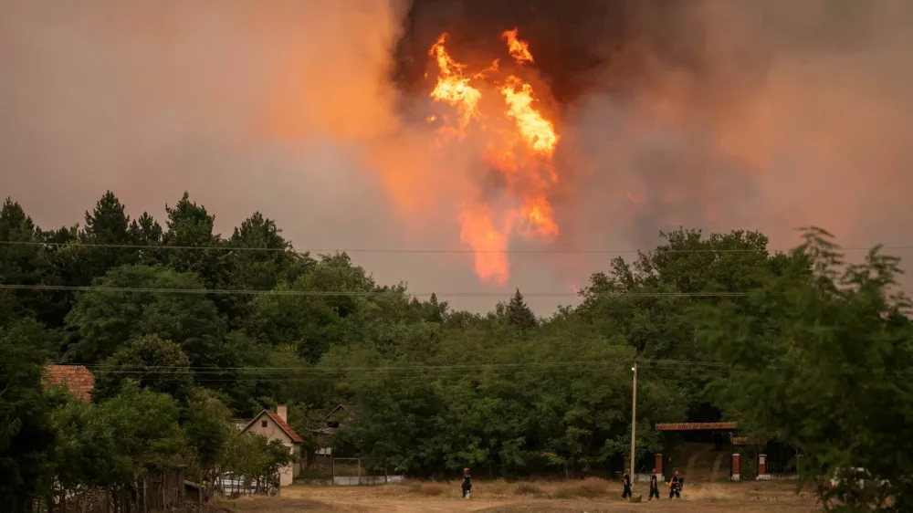 FILE PHOTO: Wildfire burns in Deliblatska Pescara, Serbia, August 7, 2026. REUTERS/Marko Djurica/File Photo