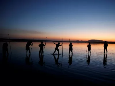 Volunteers walk across the lagoon at dawn to gather flamingo chicks and place them inside a corral before tagging them with identity rings, marking the 40th anniversary of the ringing event at the Fuente de Piedra natural reserve, near Malaga, southern Spain, August 8, 2026. REUTERS/Jon Nazca   TPX IMAGES OF THE DAY / Foto: Jon Nazca