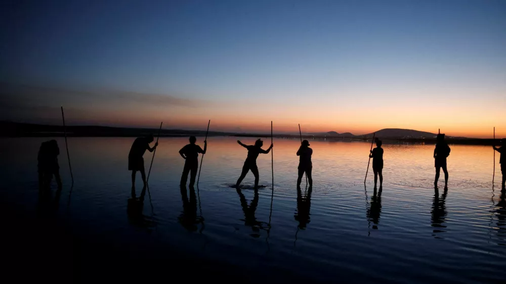 Volunteers walk across the lagoon at dawn to gather flamingo chicks and place them inside a corral before tagging them with identity rings, marking the 40th anniversary of the ringing event at the Fuente de Piedra natural reserve, near Malaga, southern Spain, August 8, 2026. REUTERS/Jon Nazca   TPX IMAGES OF THE DAY / Foto: Jon Nazca