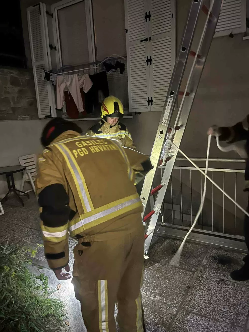 gasilci odstranjujejo sr&scaron;enja gnezda
