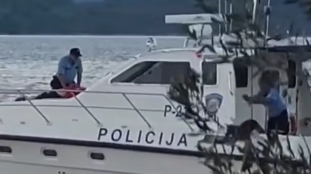 Trenutek, ko je policist vrgel psa v morje. Vir: youtube