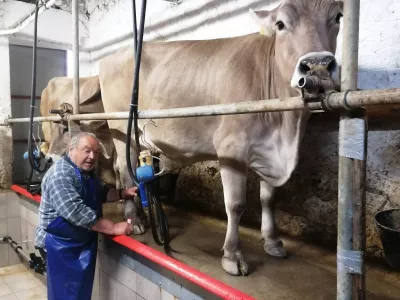 Trboveljčan na&scaron;el svoj raj nad oblaki: nekdanji miličnik je danes gorski pastir