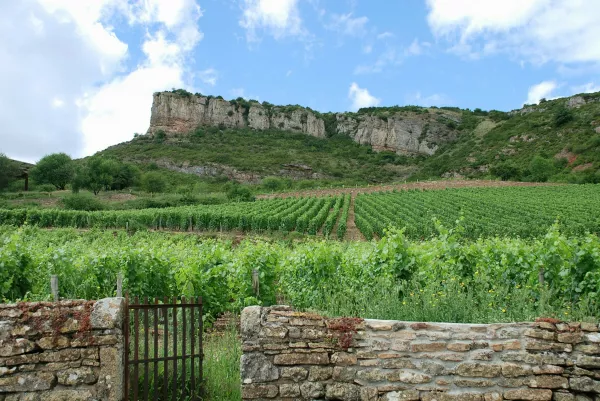 Burgundija, Roche-de-Solutre. Foto: Profimedia