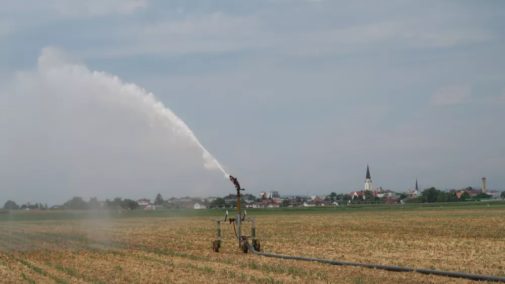 Rakičan, Panvita, kmetijsko zemlji&scaron;če, polje, namakalni sistem, namakanje. Foto: Tatjana Pihlar 