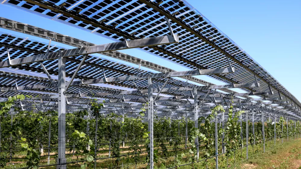 Translucent photovoltaic modules for roofing as hail and rain protection for healthy plants and power supply.
