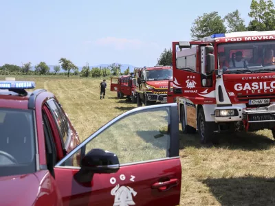 - 18.07.2024 - Požar na Krasu - Komen, &Scaron;krbina, Lipa - ogenj, ognjeni zublji, ga&scaron;enje, gasilci  //FOTO: Jaka Gasar