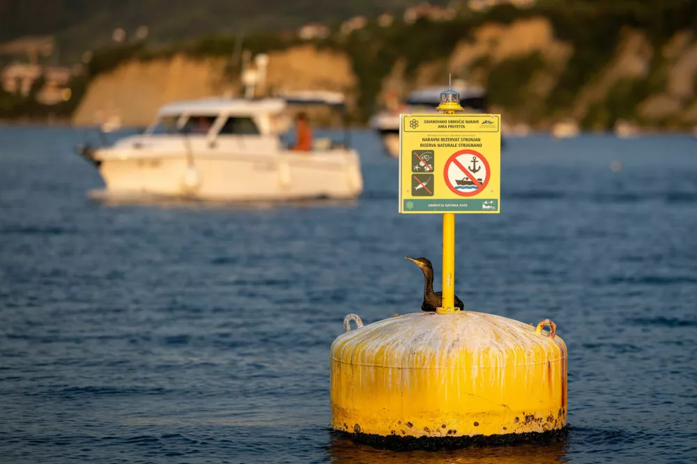 Morsko dno lahko plačuje ceno poletnega sidranja več desetletij