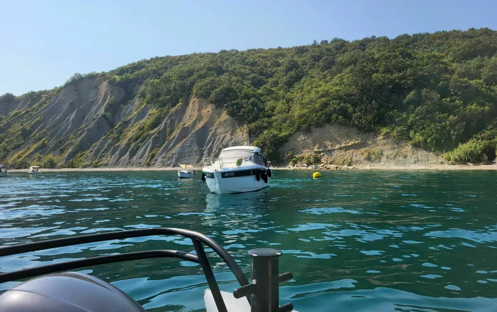 Morsko dno lahko plačuje ceno poletnega sidranja več desetletij