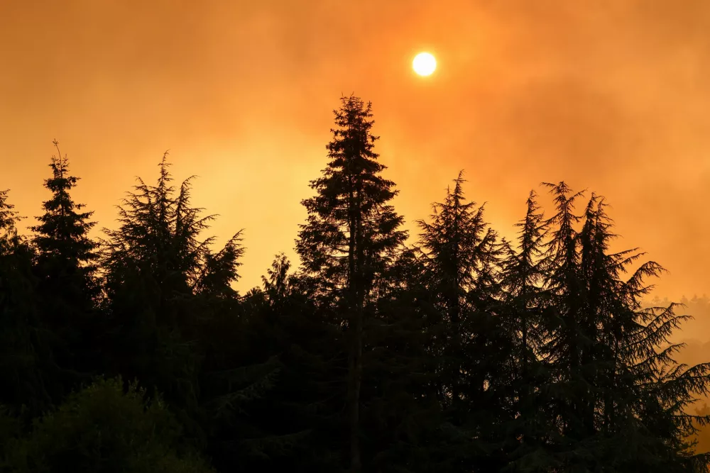 Smoke from wildfires hang in the air near H&uuml;rtgenbach, Germany, on Friday, Aug. 14, 2026. (Thomas Banneyer/dpa via AP)