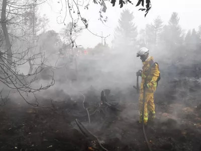 A Belgian firefighter stands among charred tree stumps in a forested area affected by a wildfire in Waimes, Belgium, August 17, 2026. REUTERS/Yves Herman