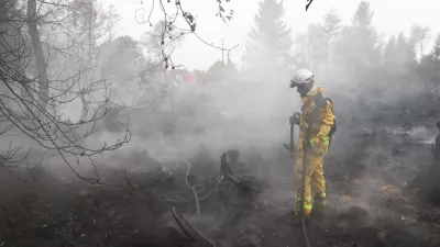 A Belgian firefighter stands among charred tree stumps in a forested area affected by a wildfire in Waimes, Belgium, August 17, 2026. REUTERS/Yves Herman