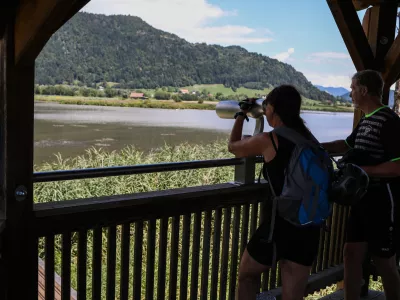  - Bleist&auml;tter Moor, močvirje ob Osojskem jezeru namenjeno preči&scaron;čevanju vode v jezeru,- opazovanje ptic,- 01.08.2025. - Reportaža o turizmu na Avstrijskem Koro&scaron;kem.//FOTO: Bojan Velikonja