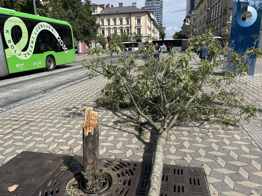 Za zdaj &scaron;e ni znano, ali gre za posledice vandalizma. Foto: &Scaron;pela Ferlin