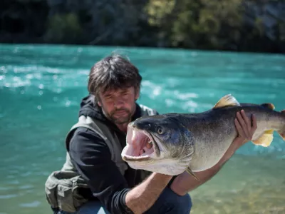 Trofejna so&scaron;ka postrv, 103 cm, 12,5 kg, ujeta 8. aprila 2018 pri Solkanu, ribič Robert Prando / Foto: Jernej Kravos
