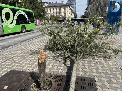 Za zdaj &scaron;e ni znano, ali gre za posledice vandalizma. Foto: &Scaron;pela Ferlin
