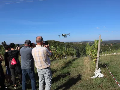 Ljutomer, Radomerscak.Na dnevu odprtih vrat Selekcijsko trsnicarskega sredisca Ivanjkovci so strokovnjaki Kmetijsko gozdarskega zavoda Maribor predstavili dron za skropljenje vinske trte.