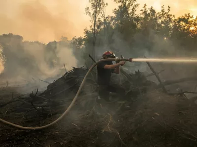 A firefighter battles a wildfire in Deliblatska Pescara, Serbia, August 18, 2026. REUTERS/Marko Djurica   TPX IMAGES OF THE DAY