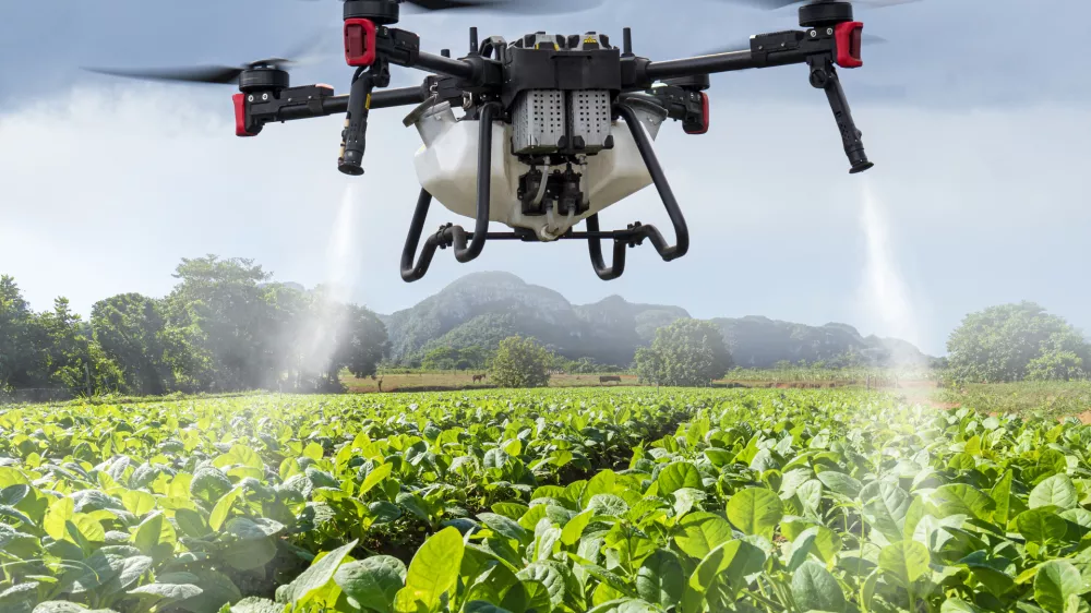 An industrial drone on green field. sprays useful pesticides to increase productivity and destroy harmful insects. increase productivity. Modern technologies in agriculture