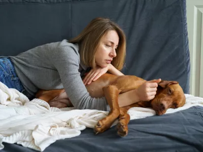 Worried woman taking care of weakening old dog at home. Poor animal suffer from stomach ache need medical treatment in vet clinic. It's time to let your friend go. Caring for aged pet at home concept