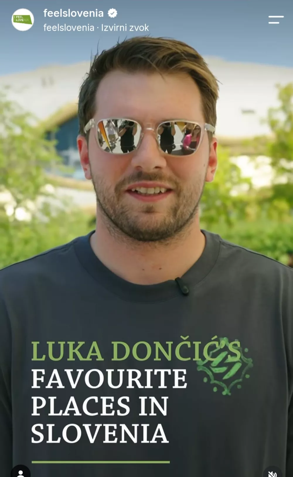 posnetek zaslona