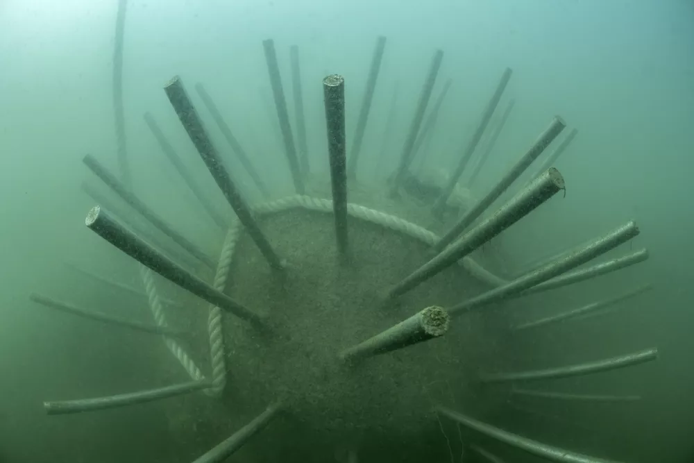 Neptun po svoji obliki spominja na morskega ježka.