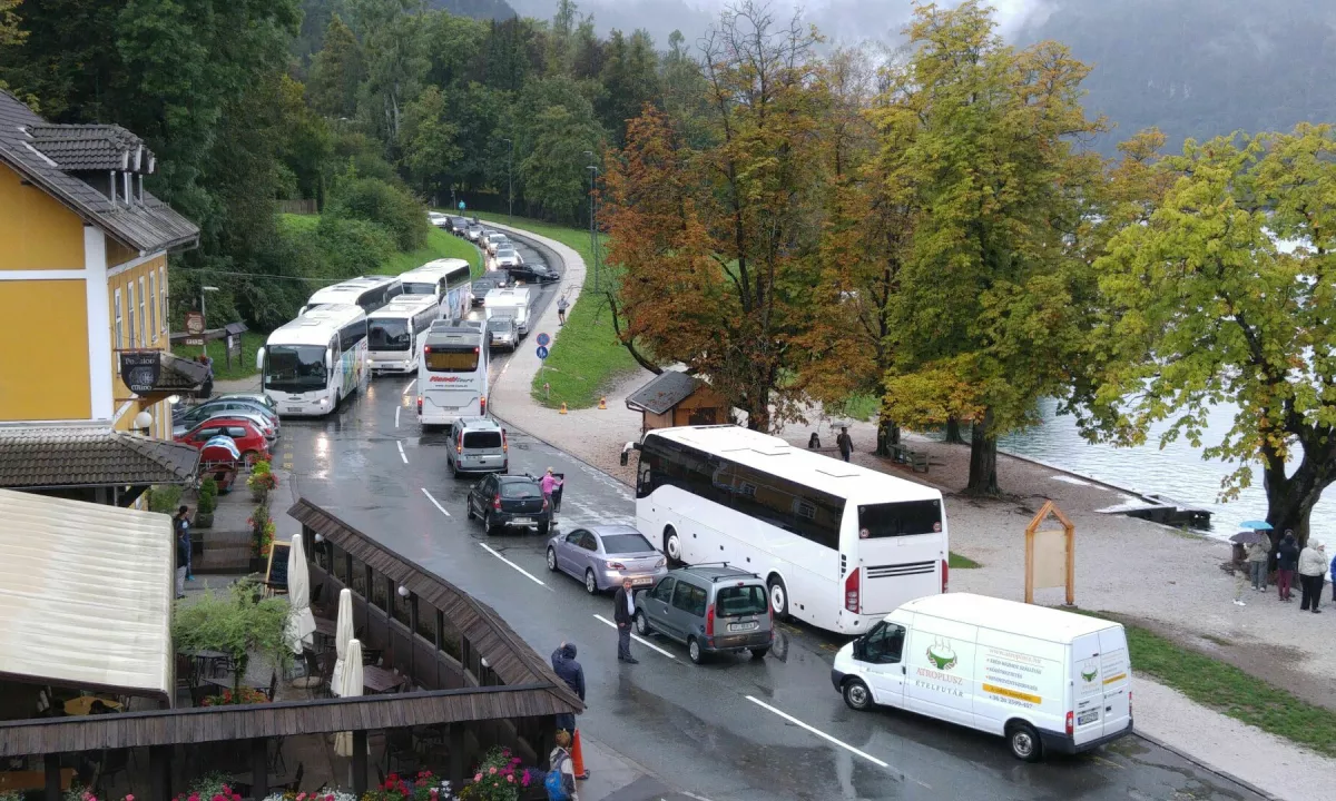 Bled ujet v poletno gnečo: Z vprego hitreje iz Lesc kot z avtom, 2.