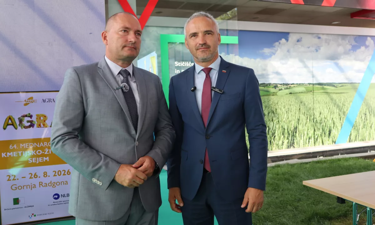Balkanski kriminal in iskanje izgubljenih vrednot