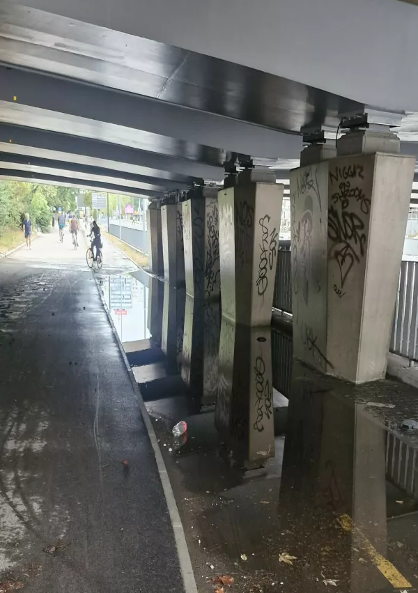 Mnogi so se plavanju raje izognili.