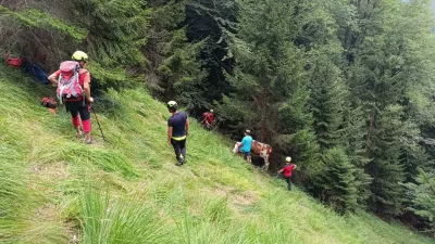 Gorski reševalci so pomagali poškodovanemu biku. 
