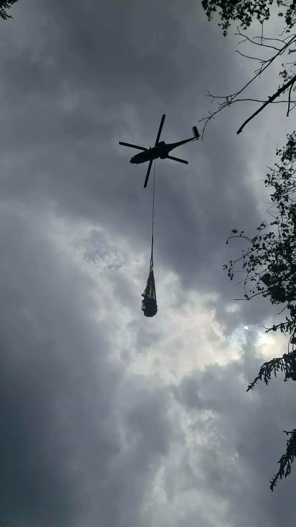 Po&scaron;kodovanega bika so v dolino prepeljali s helikopterjem. 