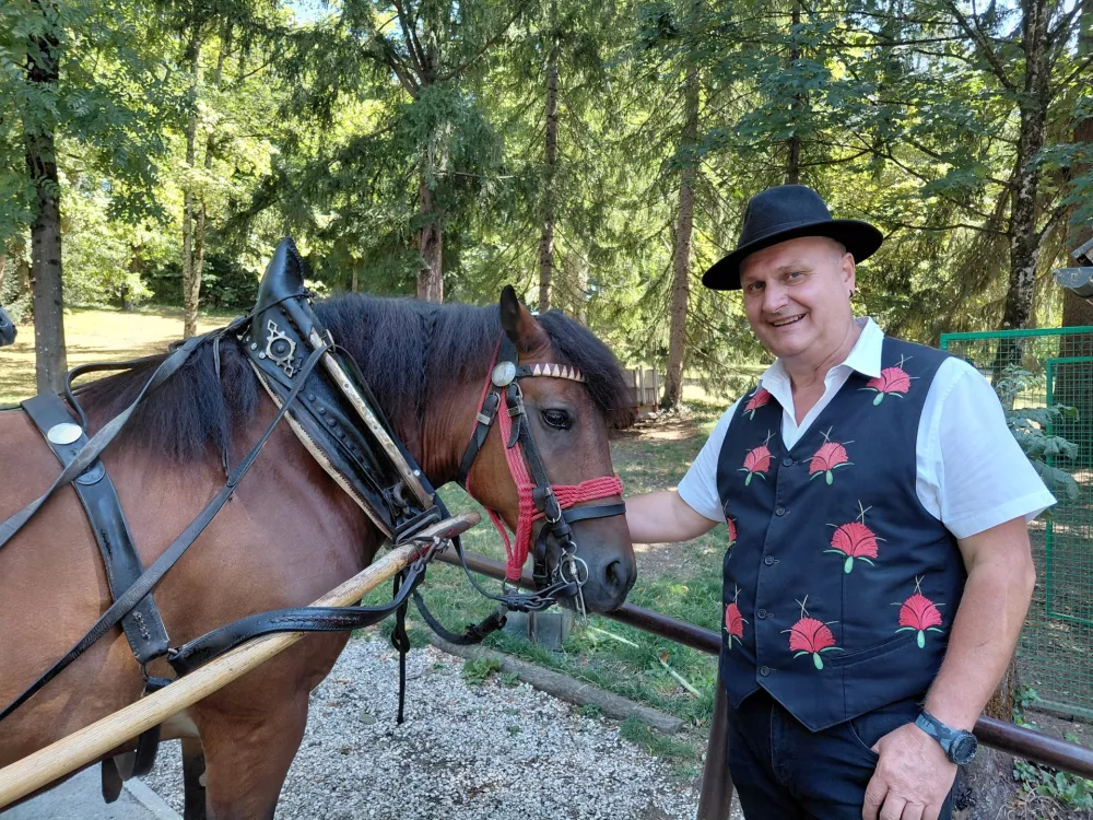 Bled ujet v poletno gnečo: Z vprego hitreje iz Lesc kot z avtom