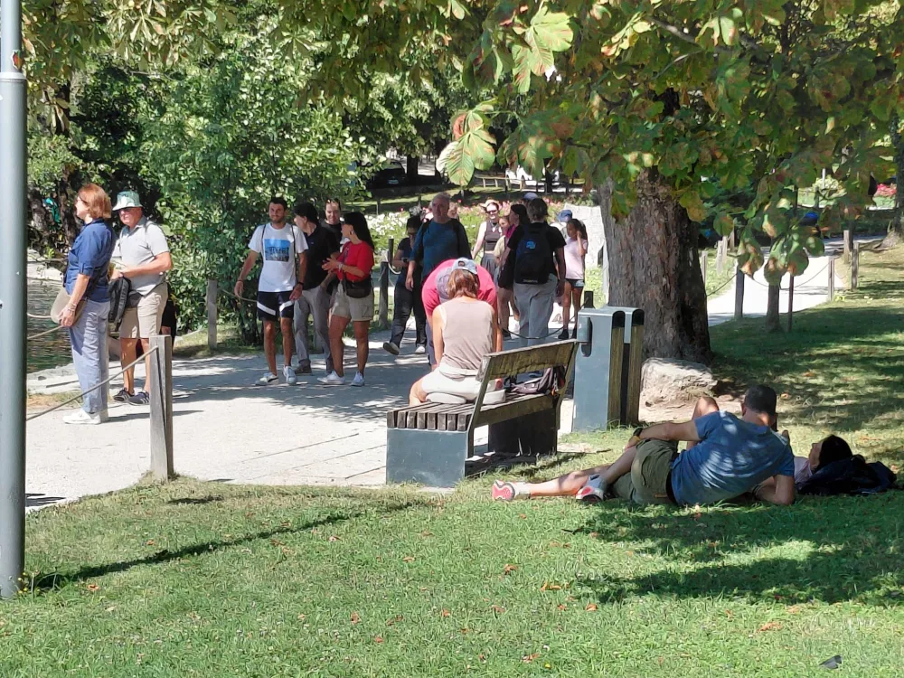 Bled ujet v poletno gnečo: Z vprego hitreje iz Lesc kot z avtom