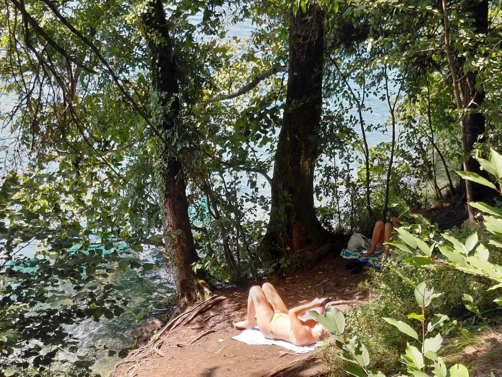 Bled ujet v poletno gnečo: Z vprego hitreje iz Lesc kot z avtom