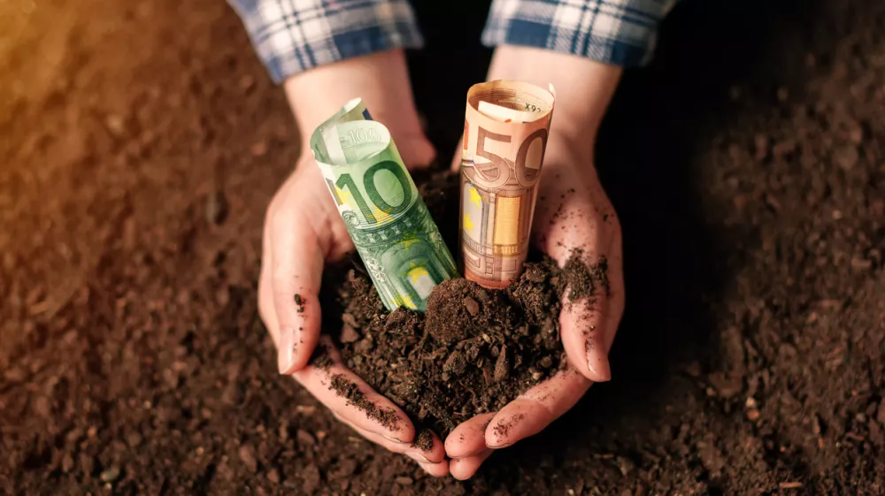 Hands with fertile soil and euro money banknotes, female farmer handful of cultivated land that makes profit and steady income from sustainable agricultural activity like organic growth of crops