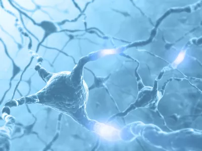Inside the brain. Concept of neurons and nervous system. Two neurons transmitting information. / Foto: Ts