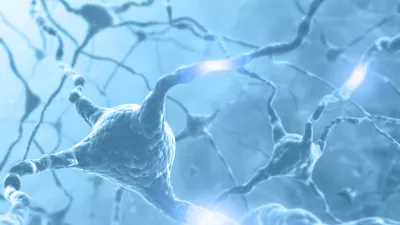Inside the brain. Concept of neurons and nervous system. Two neurons transmitting information. / Foto: Ts