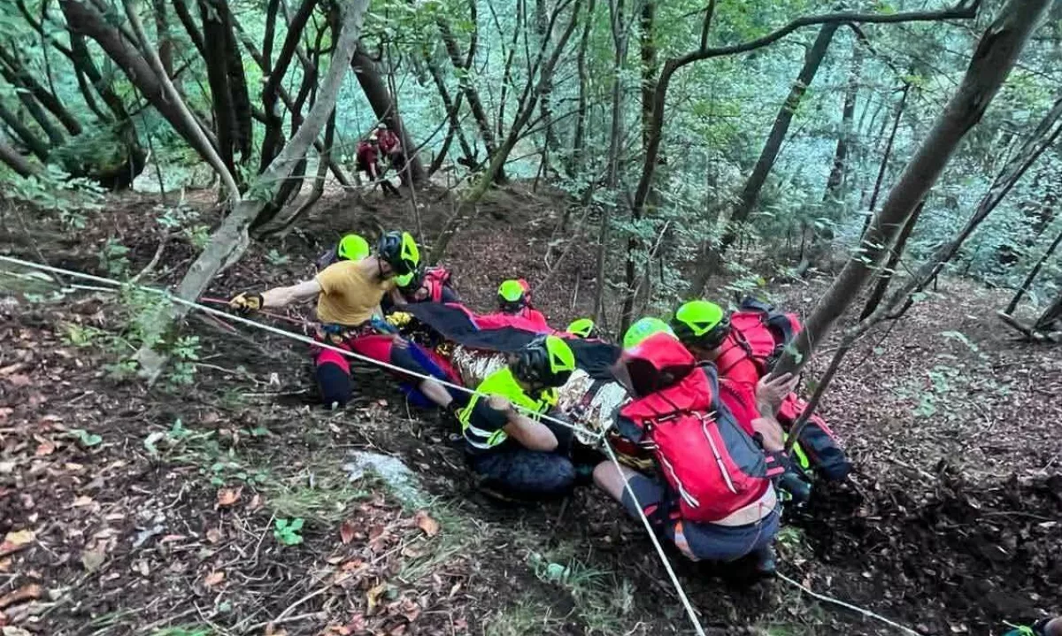 Osojnica: zlomila se je veja, na kateri sta sedela, mlada turista sta zgrmela v prepad