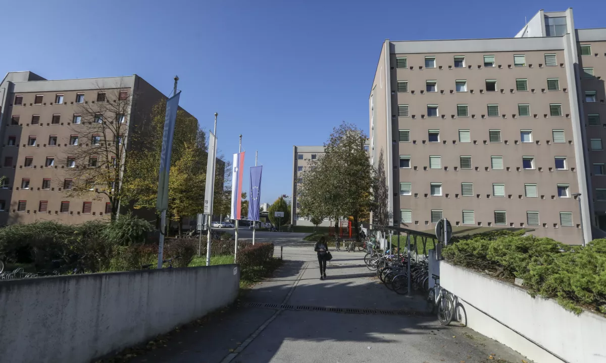 Varljiva študentska stanovanja: prevare, nadzor in pomanjkanje postelj