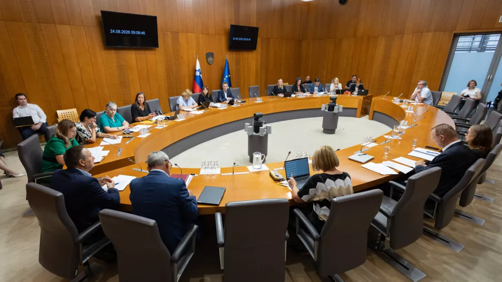 Ljubljana, drzavni zbor.Seja odbora DZ za demografijo, druzino, socialne zadeve in invalide.