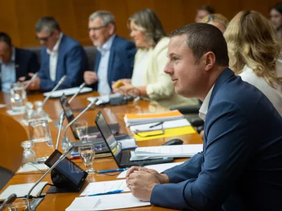 Ljubljana, drzavni zbor.Seja odbora DZ za notranje zadeve in javno upravo na temo predloga za razpis posvetovalnega referenduma o volilni pravici na lokalnih volitvah v RS.